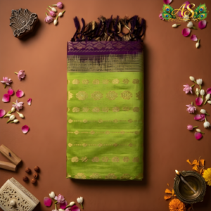 parrot green venkatagiri pure handloom pattu saree